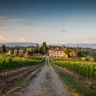 Rolling hills in Tuscany with vineyards and stone houses beneath a bright sky.