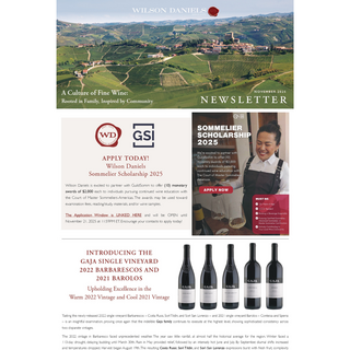 A screenshot of Wilson Daniels' November newsletter.