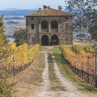 An unpaved road leading toward the Biondi-Santi estate in Italy.