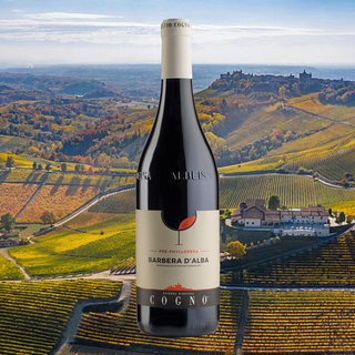 Cogno vineyard in autumn, with leaves beginning to change color, overlaid with a bottle of Cogno Pre-Phylloxera Barbera.