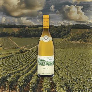 A graphic featuring a bottle of Domaine Billaud-Simon's Chablis, featured prominently in the center with a warm-hued vineyard serving as the background.