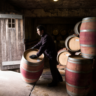 A man with dark hair and gloves rolls a wine barrel indoors, looking toward an open doorway as sunlight illuminates his face.
