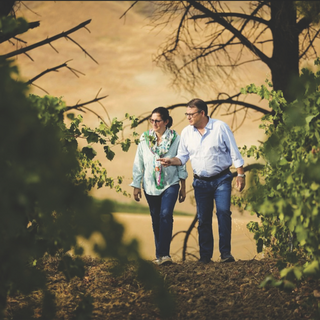 Melissa Muller and Fabio Sireci of Feudo Montoni walk through vineyard rows together, with Fabio, on the right, pointing toward a vine as they inspect the vineyard.