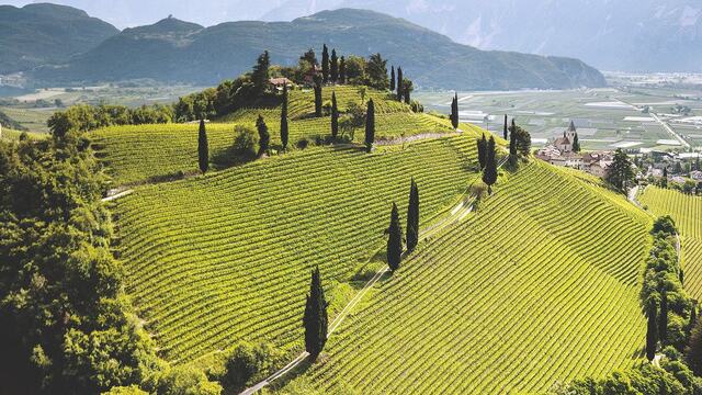 Ca'Marcanda Vistamare Toscana IGP | Wine | Wilson Daniels