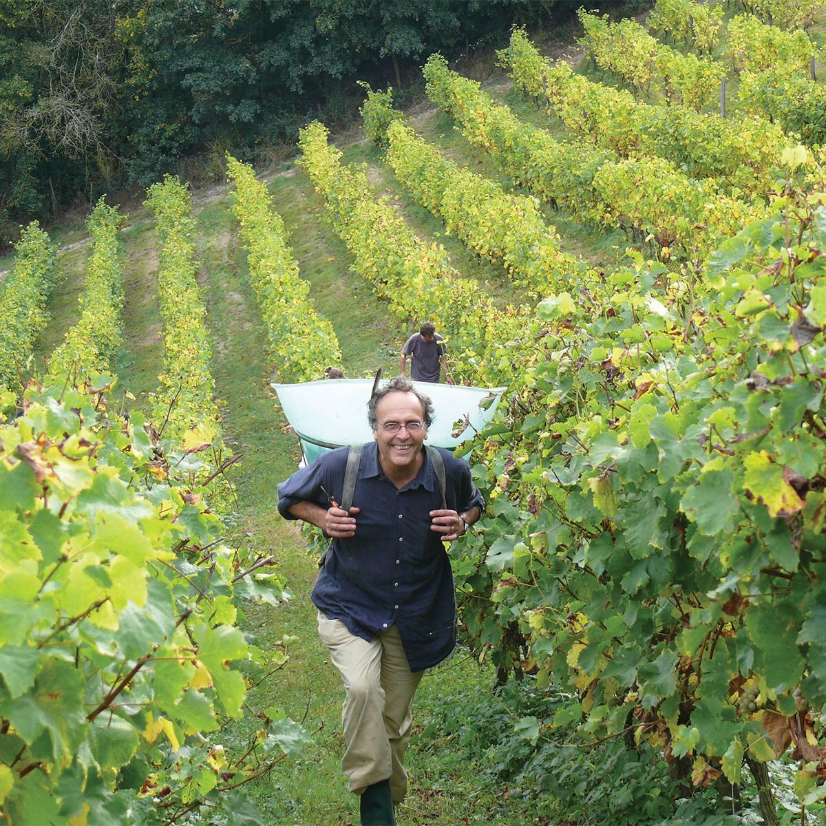 Wilson Daniels - Luxury Wines Importer and Marketer