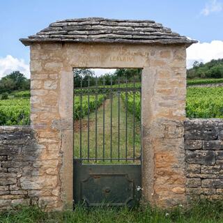 A photo of Domaine Leflaive's iconic stone gate to its vineyards in Burgundy.