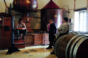 Cognac Lheraud - Distillation room - Jean Charles Lheraud, Andree Lheraud (Guy's wife) and Laurent Lheraud (Guy's son)