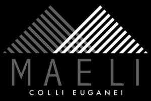 Logo Maeli PNG