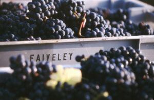 Harvests Pinot Noir @Domaine Faiveley